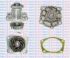 AQUAPLUS 85-1960 Water Pump